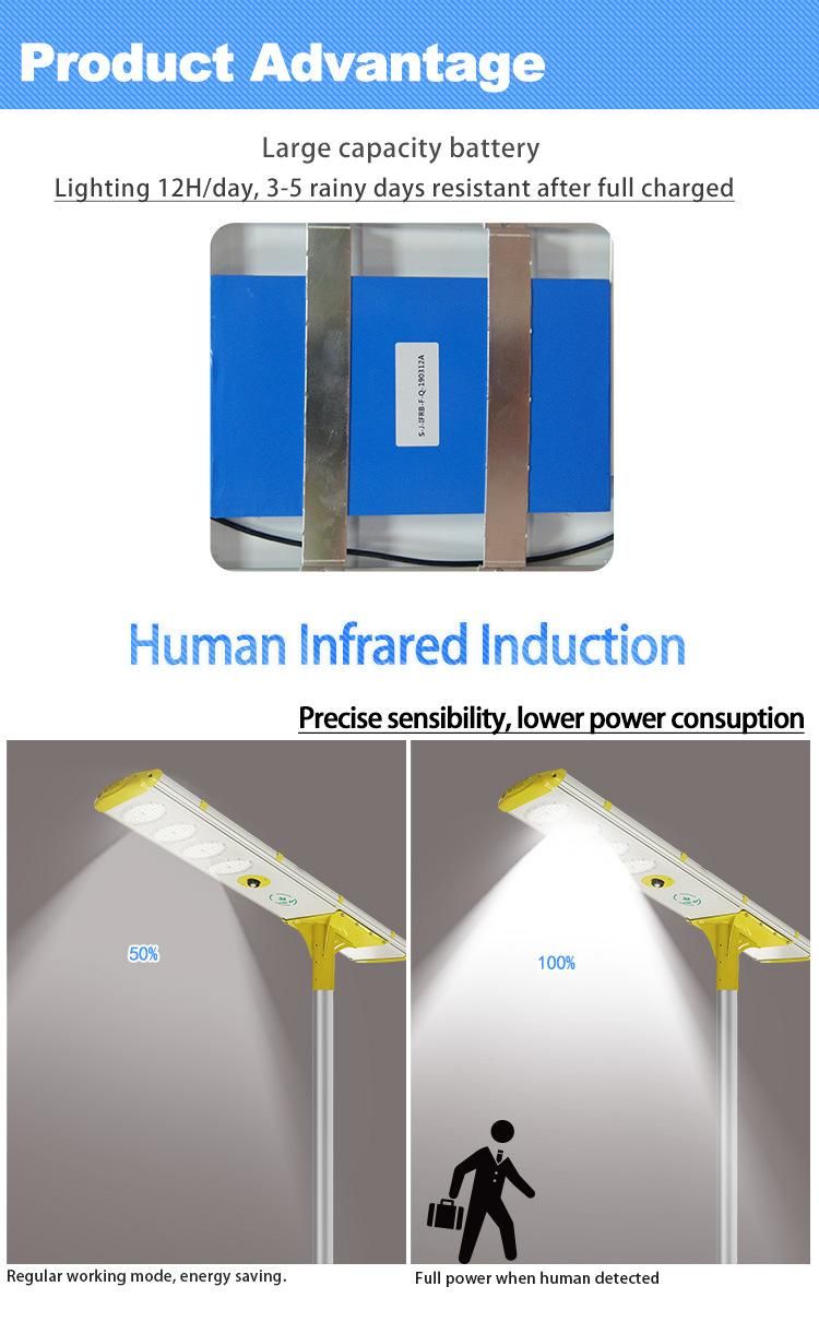 Solar Street/Road/Garden Light with Panel and Lithium Battery