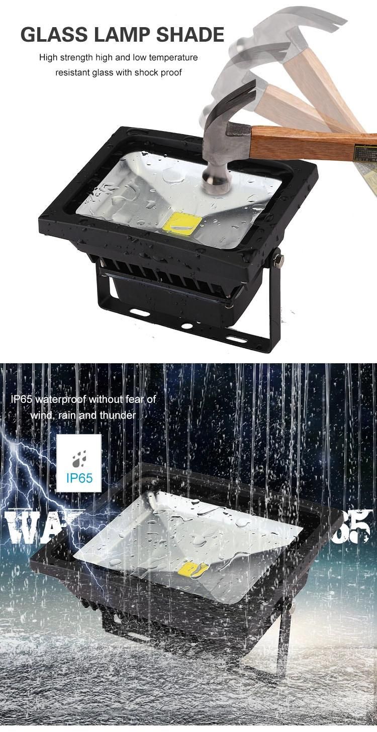 10W Flood Light IP65 (YC-FGD-10)