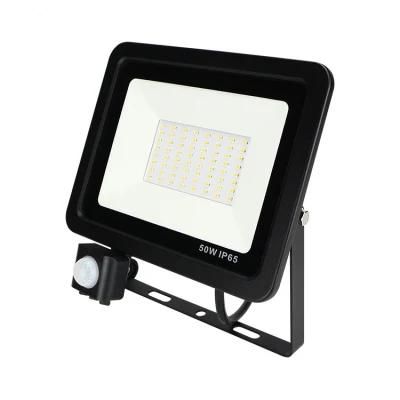 30W/50W/100W/150W/200W/300W Induction Flood Light