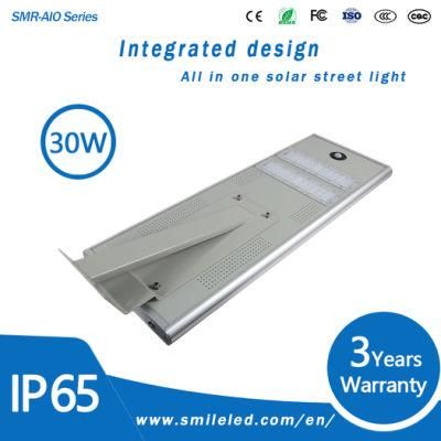 30W All in One LED Integrated Solar Street Light Solar Powered IP68 Waterproof Lamps with Solar Batteries
