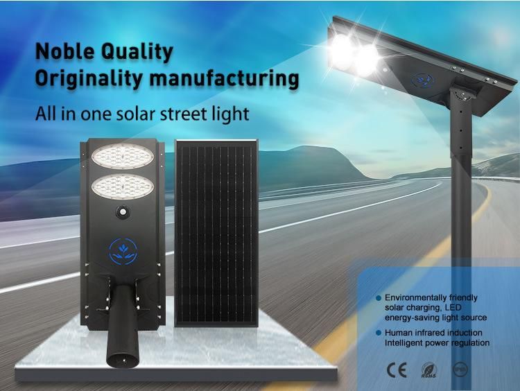 Integrated Solar Panel LED Street Light with Energy-Saving Lump