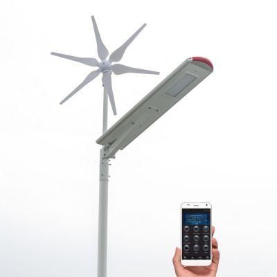 5 Years Warranty LED Outdoor Solar Wind Street Light Hybrid Solar Wind Power 30W Solar Street Light with Vertical Horizontal Wind Turbine