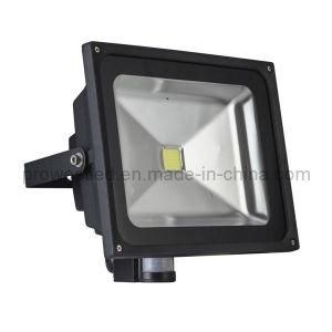 30W with PIR Sensor LED Flood Light (PW2031-P)