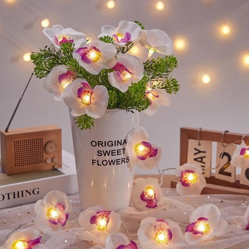 Decorative Lights LED Lights Flashing Lights Proposal Full of Stars Wyz19722