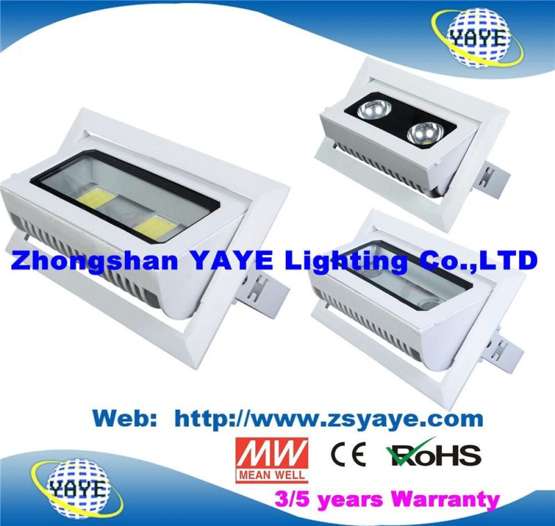 Yaye 18 Top Sell Ce/RoHS Approval COB 30W LED Projector / COB 30W LED Flood Light /COB 30W LED Downlight