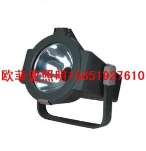 Waterproof Spotlight (CT-TG606)