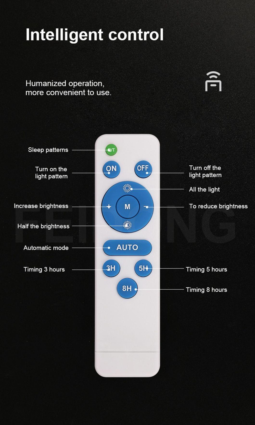 60W 100W 200W 300W Light Control Remote Control Time Control Black Color Outdoor Solar Light Lamp