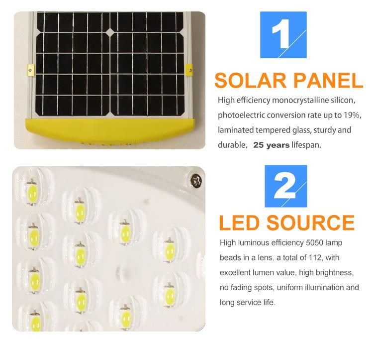 Solar Street/Road/Garden Light with Panel and Lithium Battery