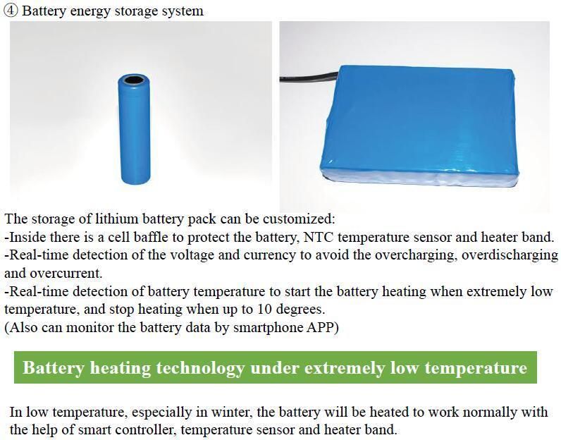 40W Wind and Solar Powered  LED Hybrid Light  (SNH-040)