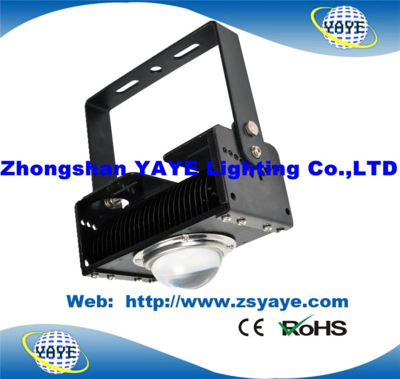 Yaye 18 Hot Sell 10W/20W/30W COB LED Floodlight/ 30W LED Tunnel Light/LED Projector Lights IP65