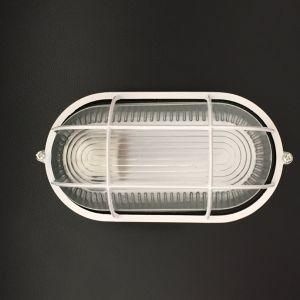 60W 100W Bulk Head Lamp with Certificated Light Fixture