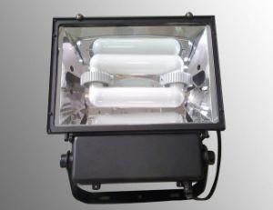 Induction Lamp for Floodlight (BZ-TG006)