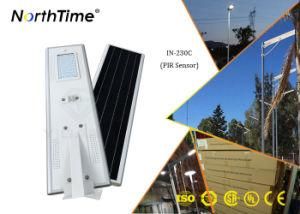 MPPT Cotrol Solar Panel Integrated LED Street Lamp
