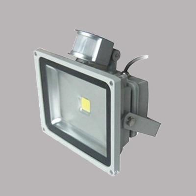 50W Power LED Flood Light