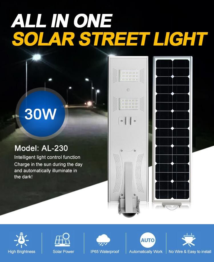 Light Control IP67 Solar LED Street Light 30W Solar Lights