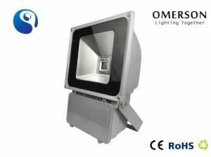 2013 New LED Flood Light with CE&RoHS Decoration Epistar Chip