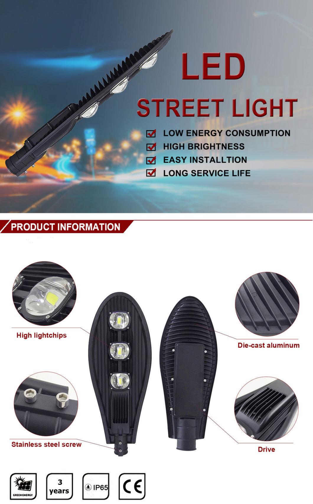 IP66 ADC12 Aluminum 2 COB LED Photocell Sensor 100W LED Street Light