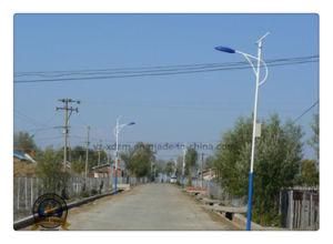 Factory Price 4m-10m Lamp Post with 25 Years Lifetime
