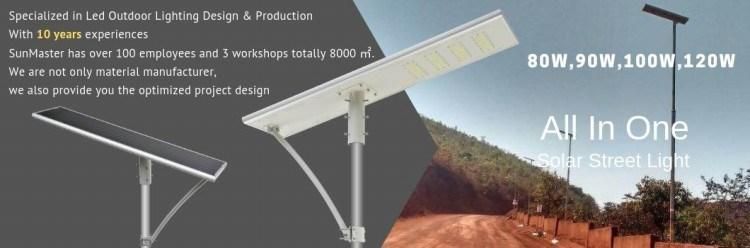 100 Watt 30W Waterproof Solar LED Street Light