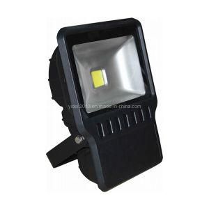 High Power Outdoor 70W Projector Wall Washer LED Flood Lighting