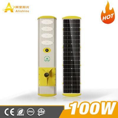 100W Power Energy Outdoor Solar LED Street/Highway/Road Light