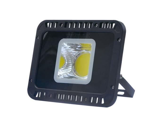 IP66 Water Protection 50W LED Project Light