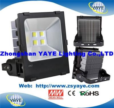 Yaye 18 Best Sell Competitive Price 250W Outdoor LED Flood Lights with CREE/MW/Ce/RoHS/5 Years Warranty