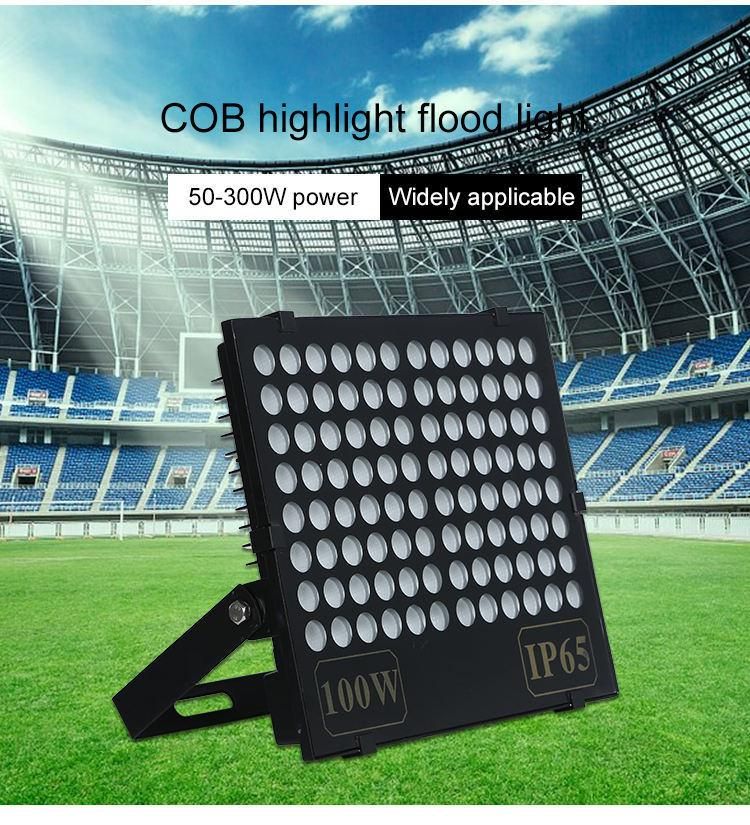 IP66 400W Floodlight Outdoor Fixtures 30W 50W 100W 150W 200W 300W Basketball Football Field Sport Court Stadium High Mast Pole Projector LED Floodlight