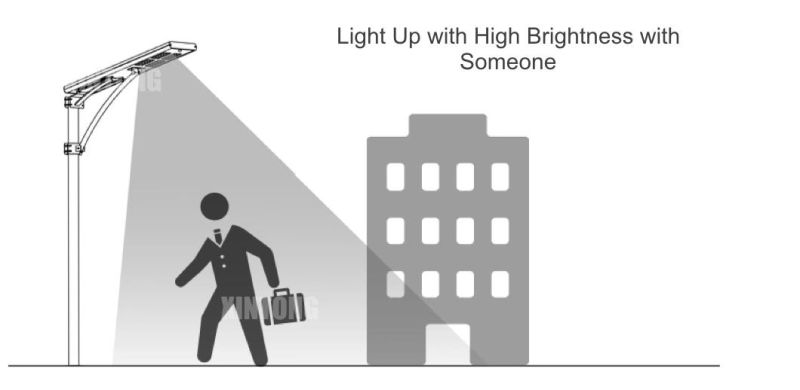 Low-Cost 40W Solar LED Street Light with MPPT Controller