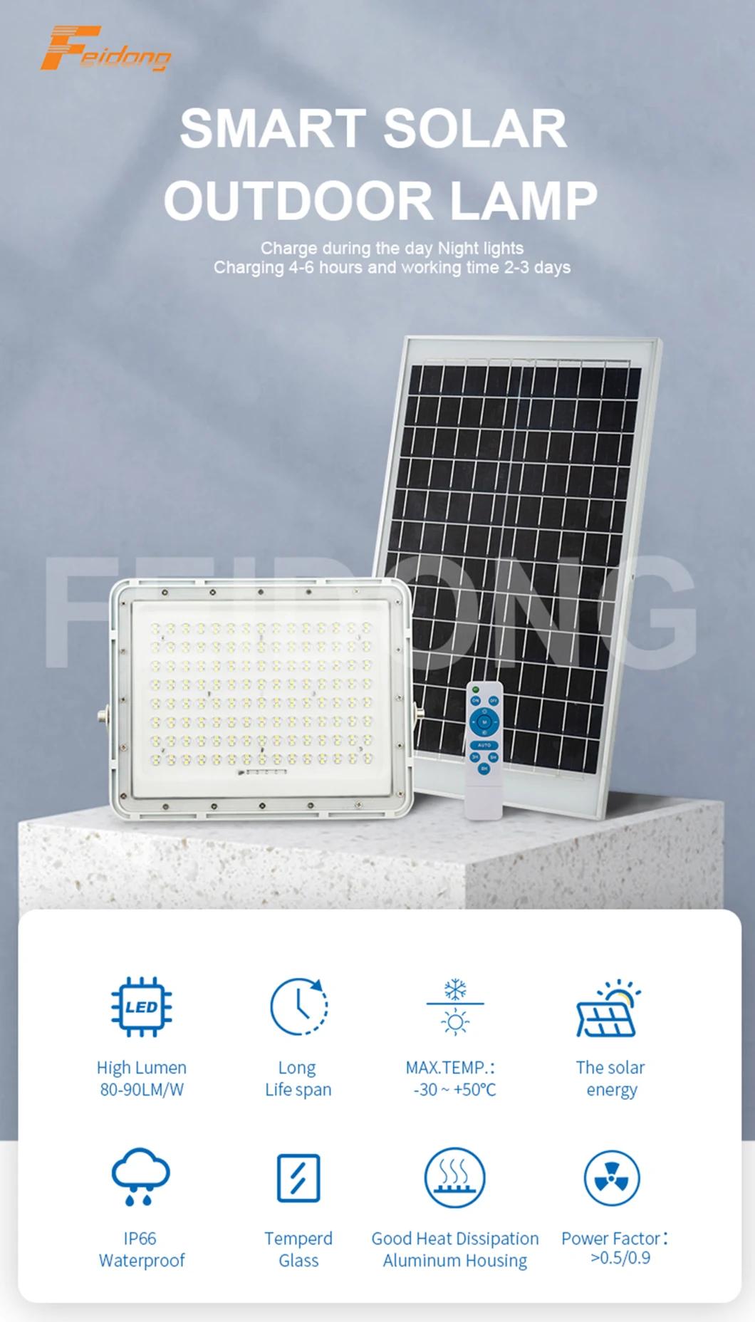 Intelligent Remote Control Built in Lithium Battery LED Solar Flood Light