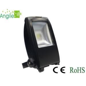 Solar LED Flooding Light (AG-F-L60FG)