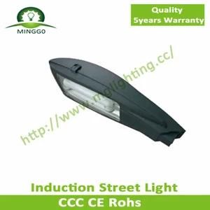 120W 150W 200W 250W Induction Street Light Road Lamp IP65 5years Warranty