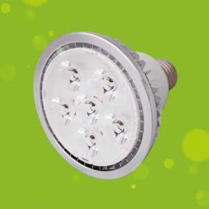 PAR30 LED Spotlight Bulb (JY-Par30-12W)