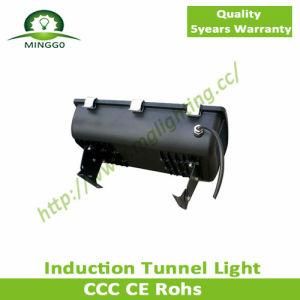 120W~200W Industrial Induction Tunnel Light