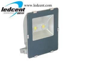 Flood Light 100W Bridgelux COB Chip Meanwell Driver