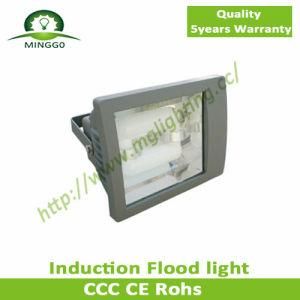 40W Induction Flood Light with 5 Years Warranty
