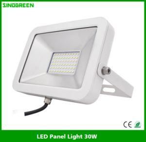 Hot Sales New Product LED Flood Light 30W