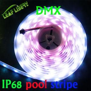 Lpd6803 Dream Color Digital LED Strip, DC12V for Pool &SPA