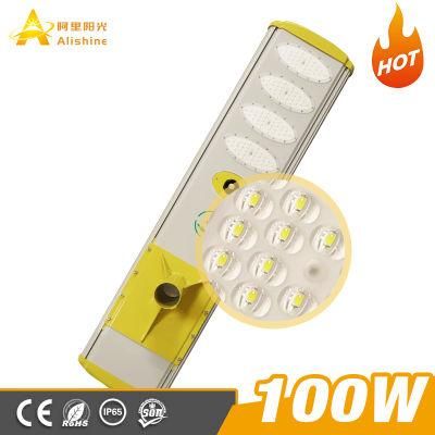 Solar Street/Road/Garden Light with Panel and Lithium Battery