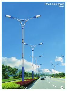 8-12m Outdoor Street Light with High Pressure Sodium Lamp (XD-D0130)