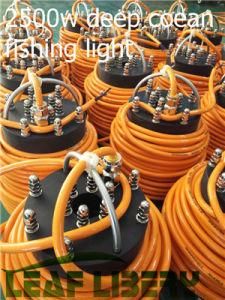 2500W Deep Drop Fishing Lights and Dock Lights Attract Fish, Light of The Sea, Spinning and Lure Fishing
