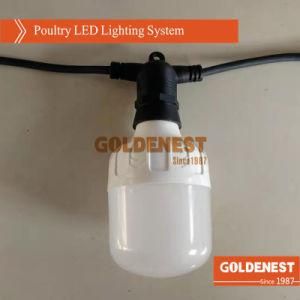 LED Bulb for Layer Poultry Chicken Farm