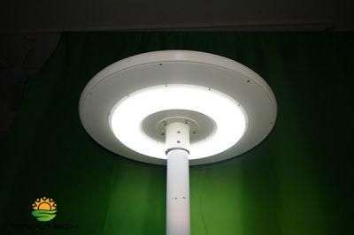 15W Round Shape Integrated Solar LED Lamp (SNSTY-Y215)