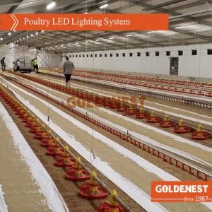 Poultry Shed LED Light for Broiler