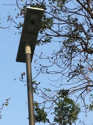High Brightness 50W All in One LED Solar Street Light Solar LED Lighting