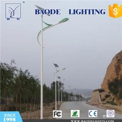 70W LED and 300W Wind Hybrid Solar Street Light (BDTYNSW2)