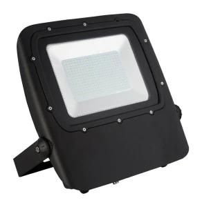 High Lumen IP66 Waterproof Outdoor LED Floodlight SMD 10W 20W 30W 50W 100W 150W 200W