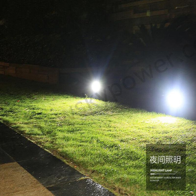 Solar Lawn Lamp Light Spotlighting