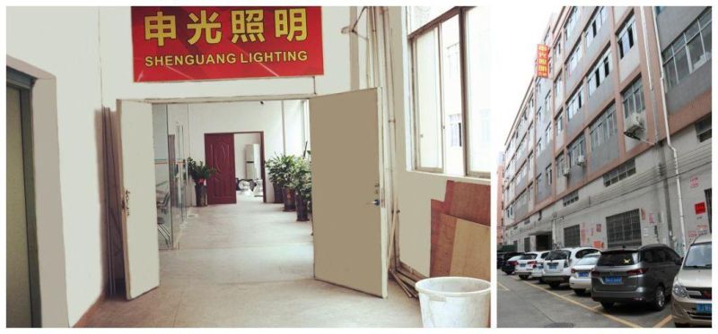 100W Shenguang Brand Tb-Thick Tb Model Outdoor LED Floodlight with Top Design