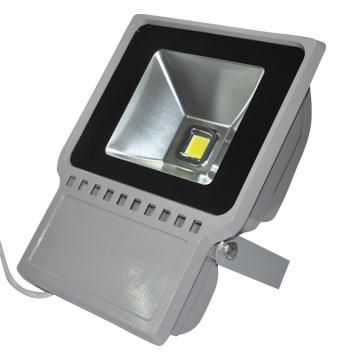 60W 12V LED Landscape Light